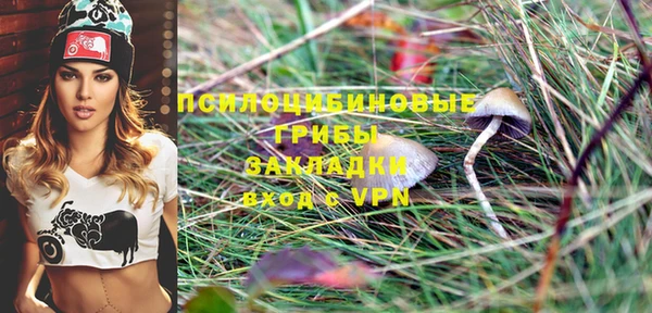 таблы Алзамай
