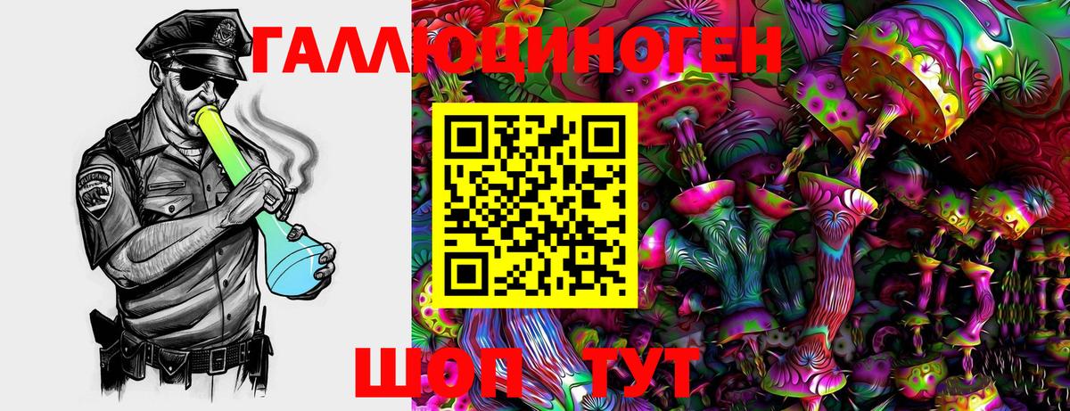Галлюциногенные грибы Psilocybe Приморско-Ахтарск