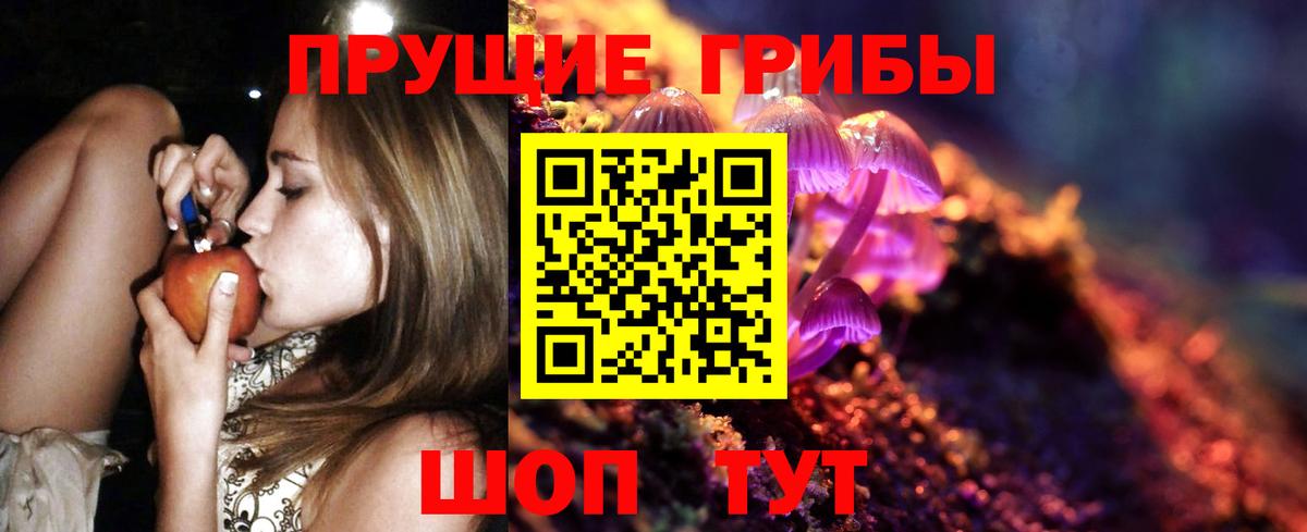 Приморско-Ахтарск  Псилоцибиновые грибы мухоморы  Вход с VPN 